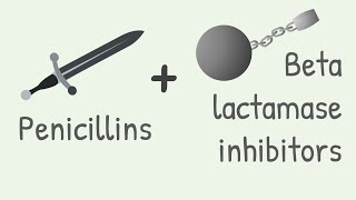 Penicillins Combined With Beta Lactamase Inhibitors Advancement In Antibiotic Therapy