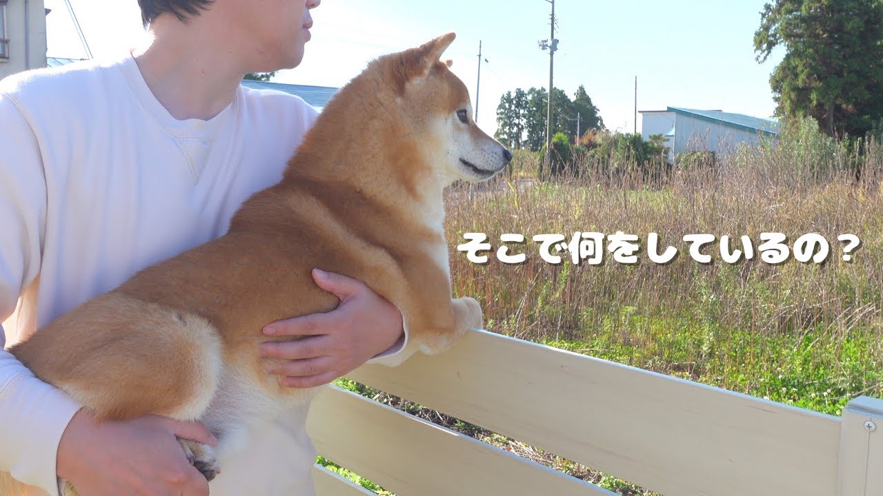 maxresdefault.jpg