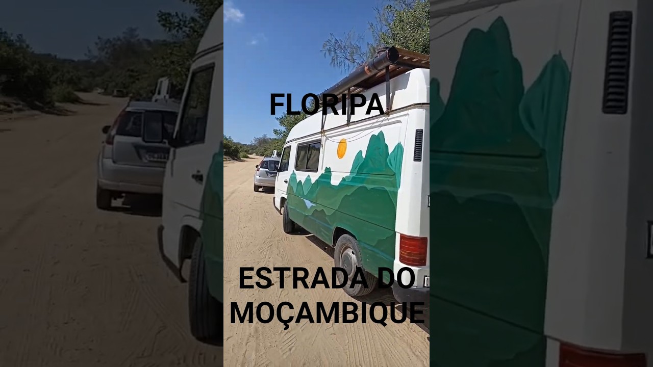 Na ESTRADA DE ACESSO à PRAIA DO MOÇAMBIQUE em FLORIANÓPOLIS ao norte da Ilha. #floripa #praia #beach