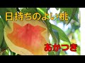 締まった肉質で、果肉は甘く、日持ちの良い桃「あかつき」