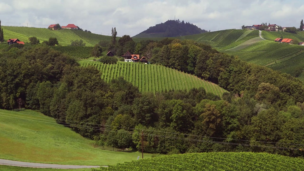 Südsteirischer Wein Andreas Muster