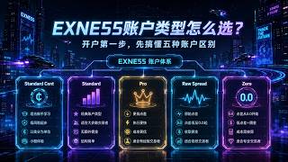 EXNESS账户类型怎么选?Standard、Pro、Raw Spread、Zero新手开户前必看,佣金全额高返
