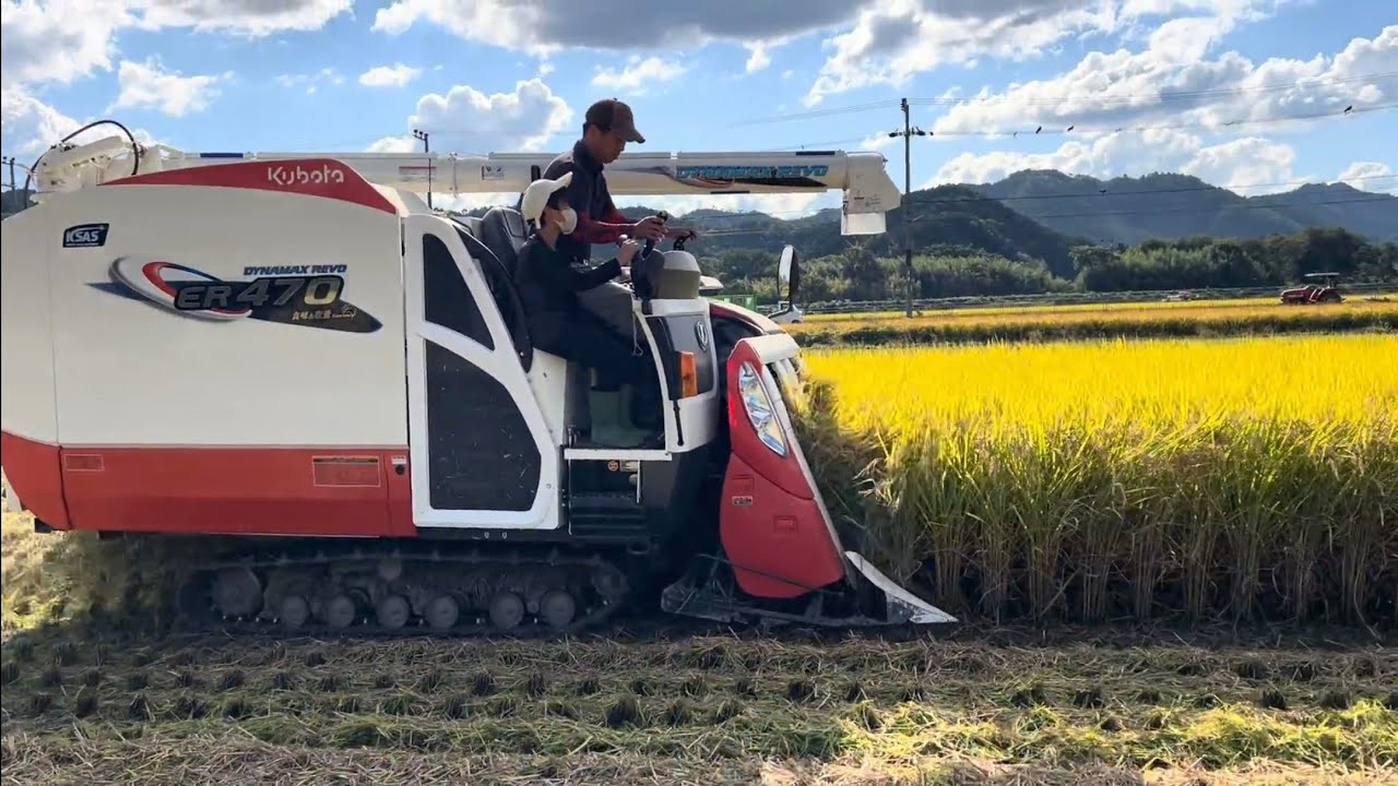 Kubota ER470 mini combine harvester | Paddy cutting machine