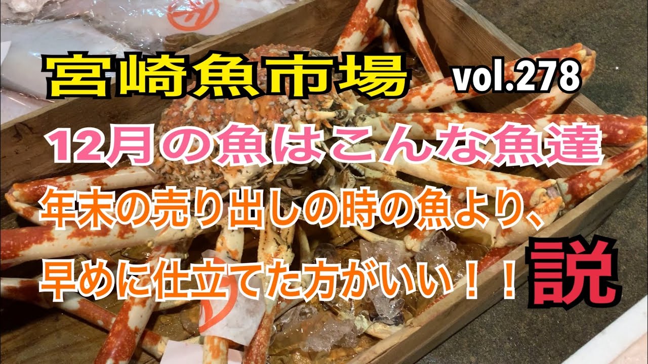 宮崎魚市場 12月の魚はこんな魚達編 Vol 278 年末の魚は最高 Youtube