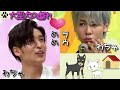 【わちゃわちゃ】めめラウ・大型犬の戯れ【目黒蓮＆ラウール】