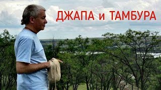 ДЖАПА И ТАМБУРА -  Е М  ЧАЙТАНЬЯ ЧАНДРА ЧАРАН ПРАБХУ