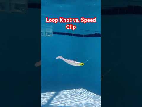 Loop Knot vs