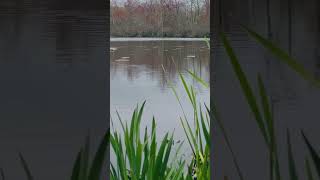 Testing 3D printed lures