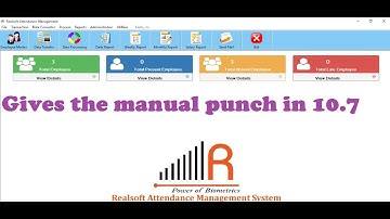 How to gives manual Punch in software 10.7/10.8/10.9/11.6