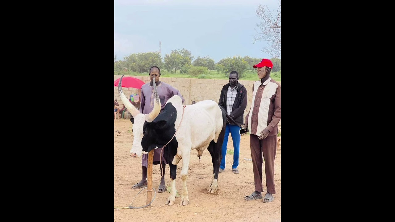 Maduk Mathiang's Songs