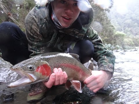 Fishing The MIGHTY MOHAKA RIVER