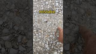 biggest gravel driveway mistake people make! #graveldriveway