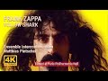 Capture de la vidéo Frank Zappa / Yellow Shark