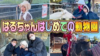 【はるちゃん大興奮】はじめての動物園にはるちゃんが…