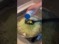 太れないキャベピィネキ👩🍳