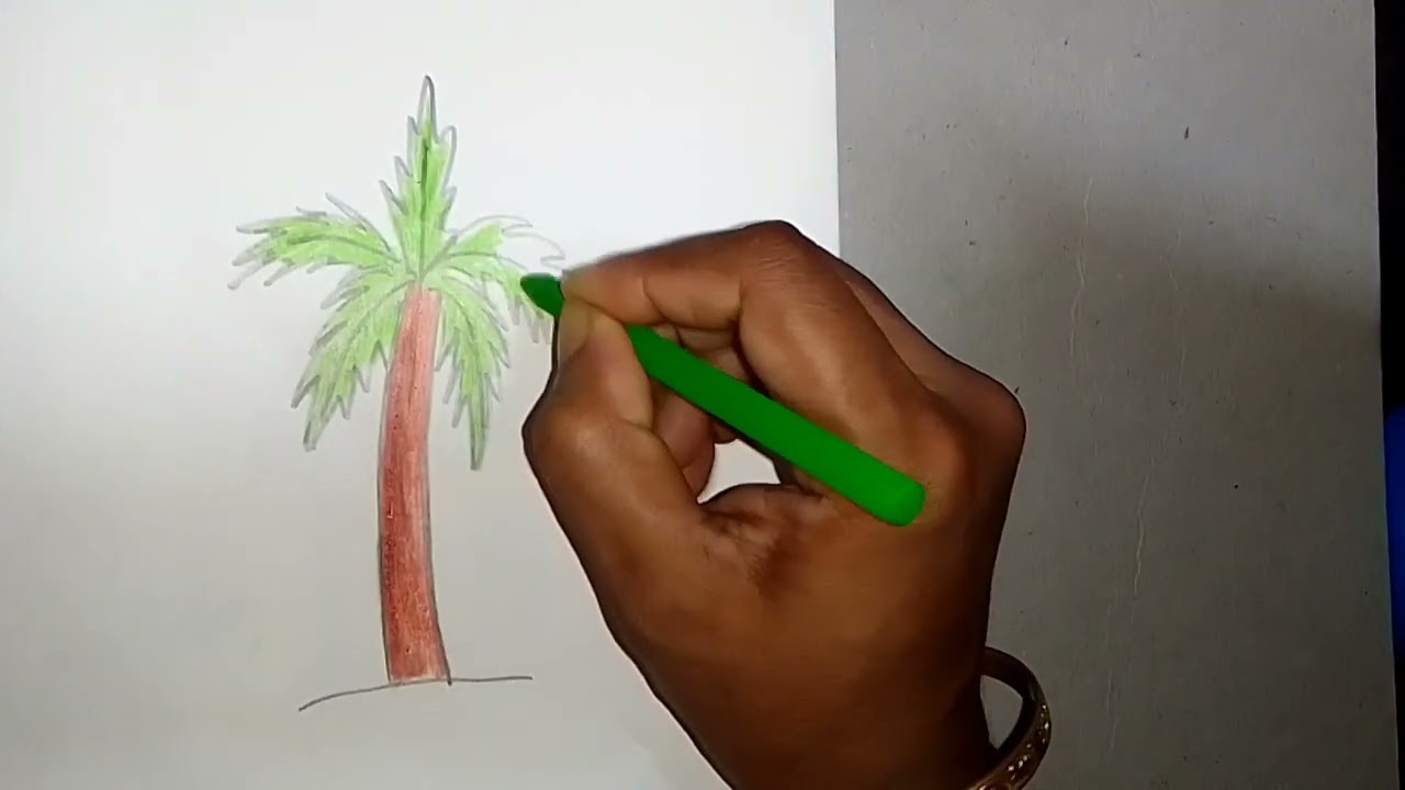 How to Draw a Betel Nut Tree || Simple Drawing of Betel Nut Tree with colour