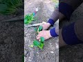 Very nice idea for farming #shortvideo #farming #tools #youtubeshorts