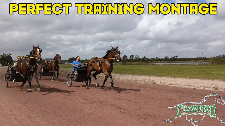 TrotCast Chris Oakes: Perfect Training Montage