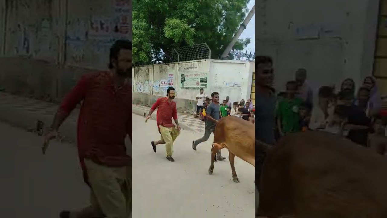 Itel Ad Shooting | Afran Nisho | 2022 |