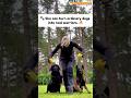 Dog training 🐾 She can turn ordinary dogs into real warriors. 🔥 #dog #k9 #belgianmalinois #dogk9
