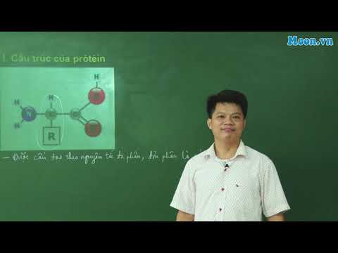 Video: Làm thế nào để biến tính một protein: 7 bước (có hình ảnh)