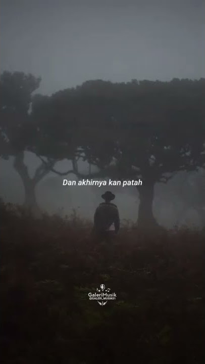 STORY WHATSAPP | SERIBU KALI SAYANG | LIRIK