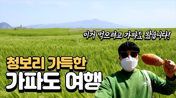 요즘 제주에서 가장 핫하다는 가파도에 다녀왔습니다