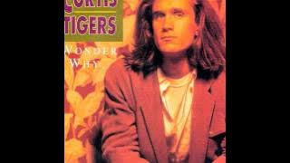 Curtis Stigers - I Wonder Why (LYRICS)