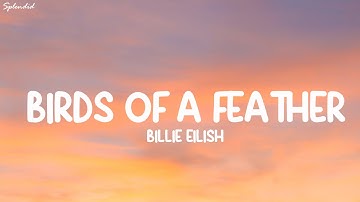 Billie Eilish - BIRDS OF A FEATHER (Lyrics) (Loop Video)