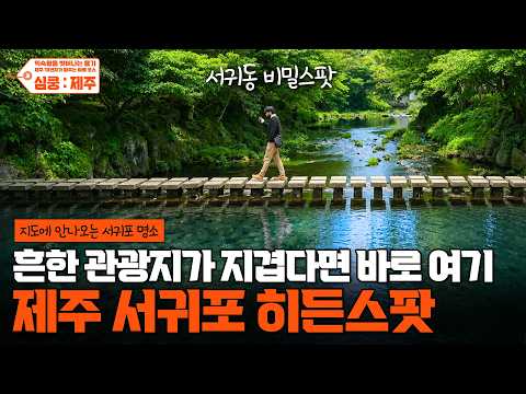 서귀포에 이런 곳이?🌴관광객은 절대 모르는 제주도 서귀포 숨은 명소 (도민 추천)