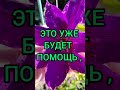 открытка #доброеутро #друзья #хорошегодня #коллеги #пожеланиядля #весна#подруга#берегисебя#