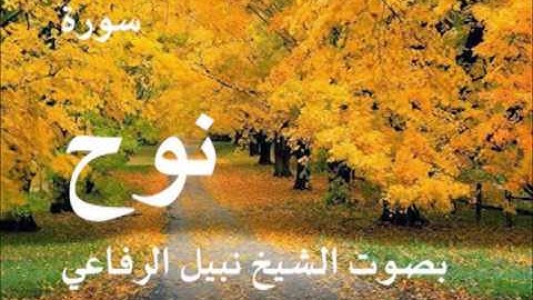 سورة نوح بصوت الشيخ نبيل الرفاعي