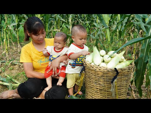 Single Mom, Harvest Corn go to the market sell, Make a bamboo house for 2 children to play, Cooking