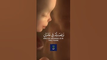 سورة لقمان الاية 14/ Surah luqman Ayat 14
