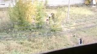 В Красноярске на ул. Рокоссовского найден труп мужчины
