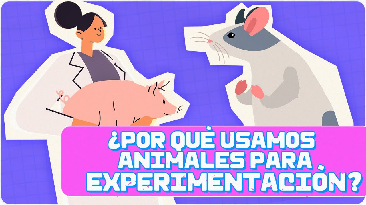 ¿Por qué USAMOS ANIMALES? | Experimentación animal