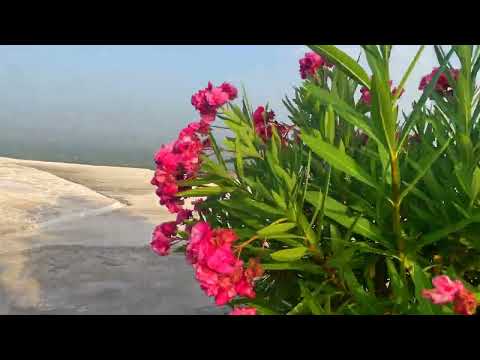 Памуккале, Турция. На машине в Турцию. Источники Памуккале, Иераполис. Бассейн Клеопатры. Памукале.