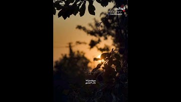 ﴿أمن يجيب المضطر إذا دعاه...﴾[النمل:٦٢] || القارئ ياسر الدوسري