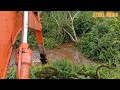 Excavator digs river in forest meets big snake