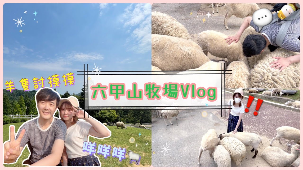 神戶六甲山牧場vlog Times租車 羊隻排隊討摸摸 被羊罵 咩咩 叫 跟羊群開會議 Youtube 神戶六甲山牧場vlog Times租車 羊隻排隊討摸摸 被羊罵 咩咩 叫 跟羊群開會議 Youtube
