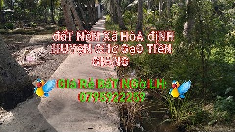 Đất đẹp giá rẻ xã Hòa Định, chợ gạo, tiền Giang|#tập 28 nhà đất văn phong tiền giang.