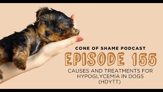 COS  155  Causes and Treatments for Hypoglycemia in Dogs (HDYTT)