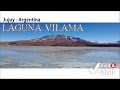 Laguna Vilama - Jujuy - Videoruta Vivir y Viajar