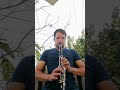 تجربة الكلارينيت