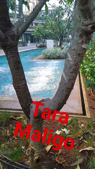 sino gusto  sumabay maligo sa akin  tara . charr. #shortvideo #swimming #beautiful