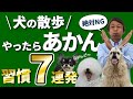 犬の散歩でやってはいけない７つのこと。【犬の散歩の注意点Best７】