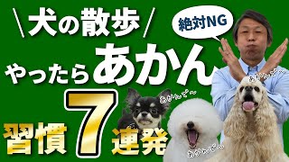 犬の散歩でやってはいけない７つのこと。【犬の散歩の注意点Best７】