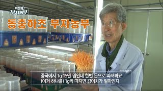 [46회] 36년간 동충하초 연구 외길을 걸으며 연 5억 '강원 횡성군 성재모 부자농부'