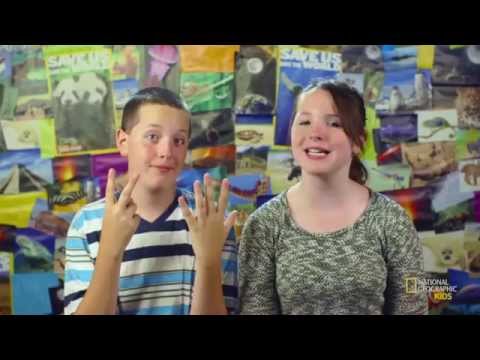 Fun Facts About Boats | Nat Geo Kids Transportation Playlist Instructional Video