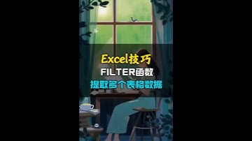 FILTER函数最逆天的功能，一次提取多个表格数据。 #excel技巧 #办公技巧 #职场办公技能